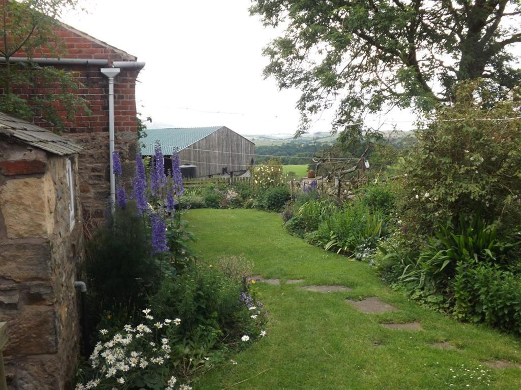 האלטוויסל Hillis Close Farm Cottage מראה חיצוני תמונה